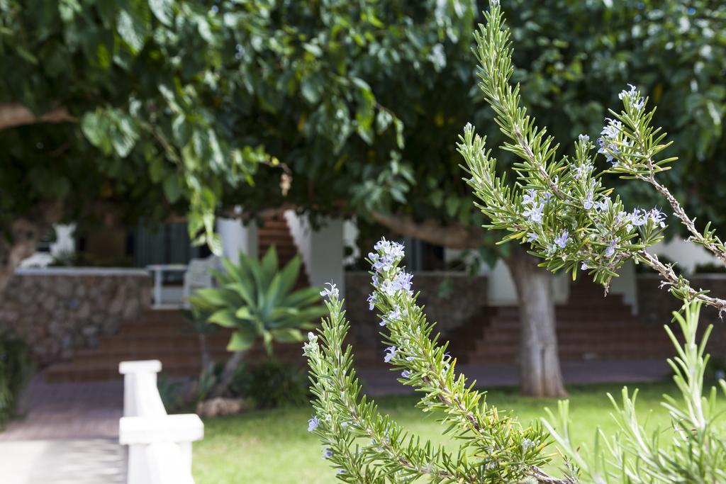 Apartamentos Els Romers Benicarlo-Peñíscola Εξωτερικό φωτογραφία